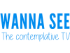 WANNA SEE TV HD